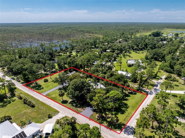29493 Clark Dr, Punta Gorda, FL 33982 - photo 63