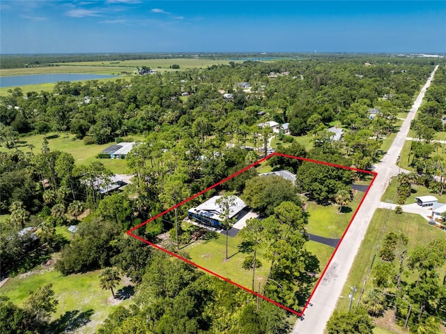 29493 Clark Dr, Punta Gorda, FL 33982 - photo 67