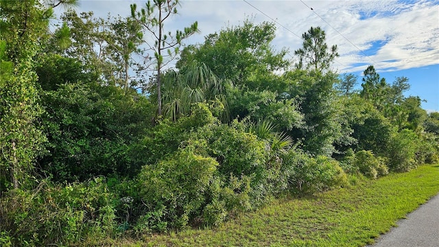 13373 Drummond Ave, Port Charlotte, FL 33953 - photo 7