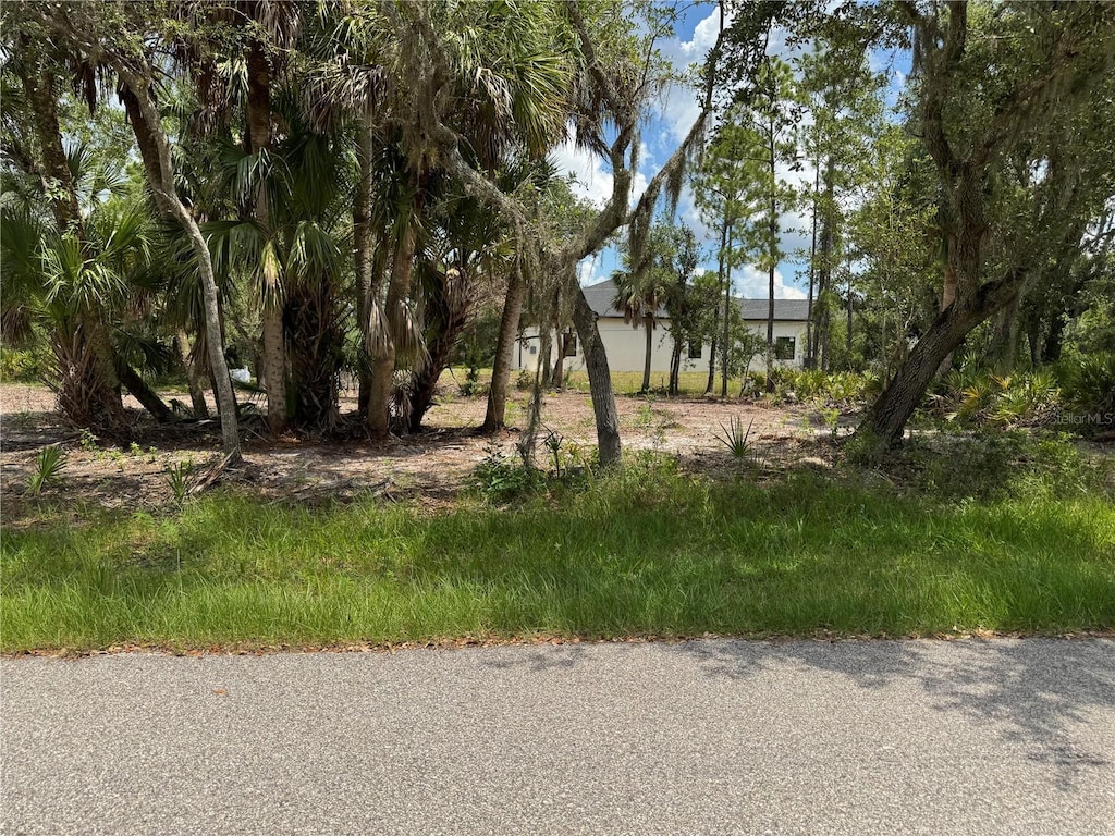 17512 Billiar Ave, Port Charlotte, FL 33948 - photo 1