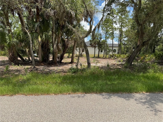 17512 Billiar Ave, Port Charlotte, FL 33948 - photo 1