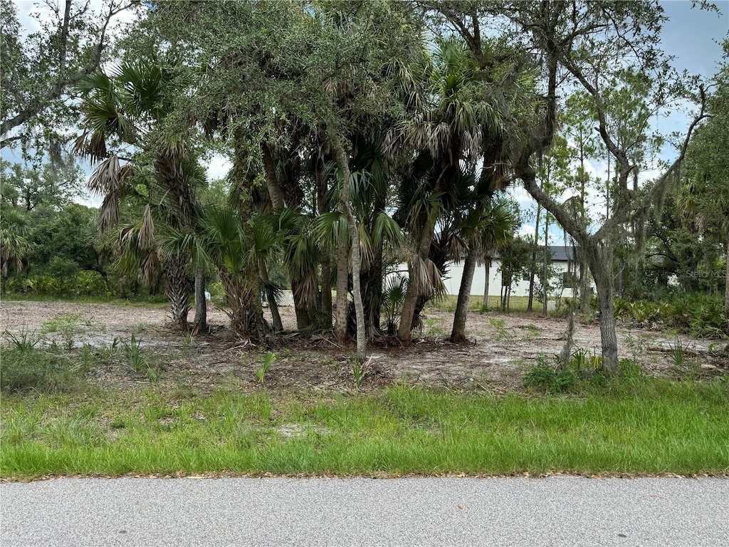 17512 Billiar Ave, Port Charlotte, FL 33948 - photo 2