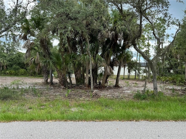 17512 Billiar Ave, Port Charlotte, FL 33948 - photo 2