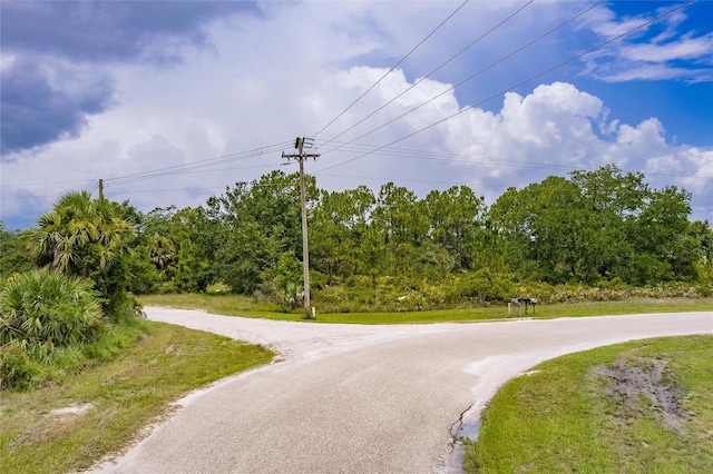 SW Gator Trl, Arcadia, FL 34266 - photo 2