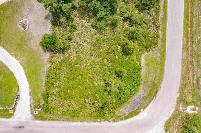 SW Gator Trl, Arcadia, FL 34266 - photo 6