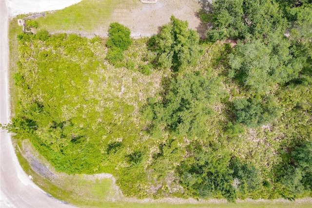 SW Gator Trl, Arcadia, FL 34266 - photo 7