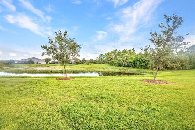12421 Amica Loop, Venice, FL 34293 - photo 40