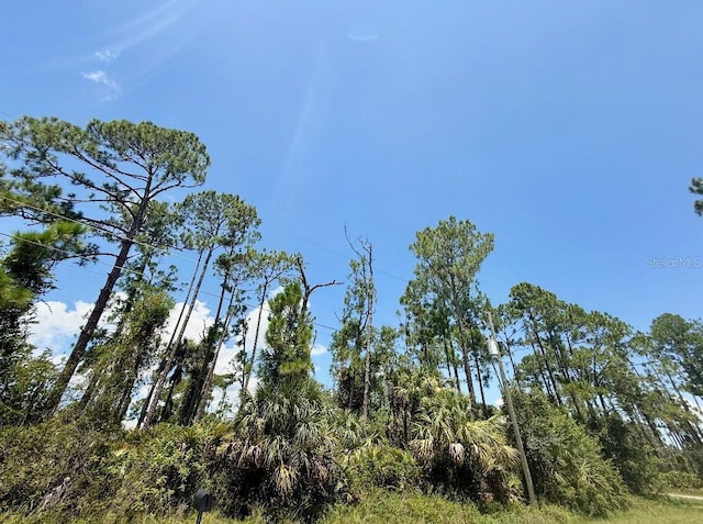 LOT2 Titan St, North Port, FL 34286 - photo 3