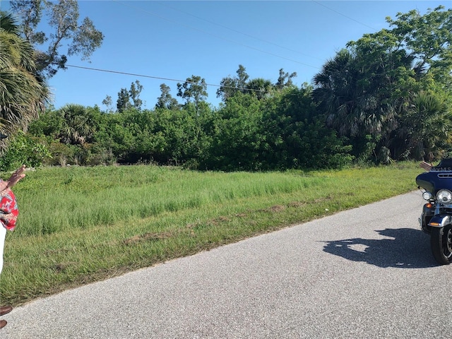 4515 Nutsedge Rd, Port Charlotte, FL 33953 - photo 1