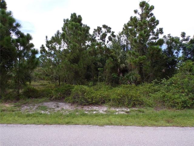 27058 Saffron Dr, Punta Gorda, FL 33955 - photo 1