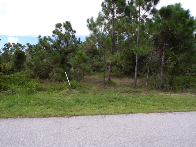 27058 Saffron Dr, Punta Gorda, FL 33955 - photo 2