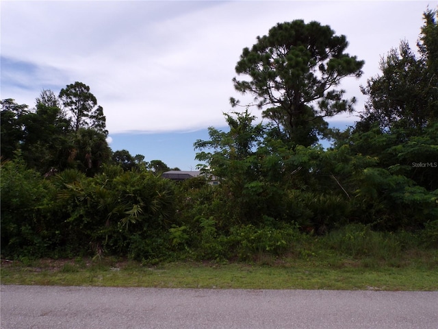 27058 Saffron Dr, Punta Gorda, FL 33955 - photo 4