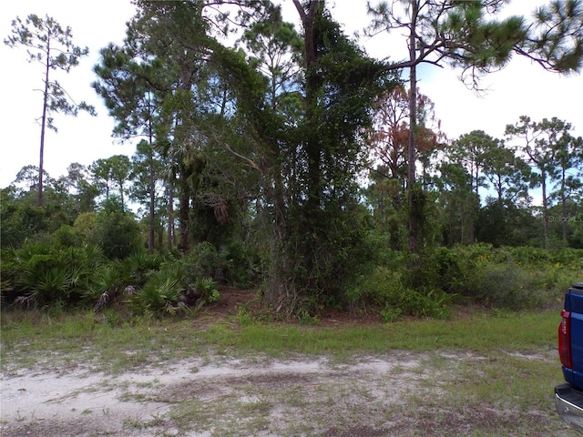 12259 Catridge Cir, Punta Gorda, FL 33955 - photo 4