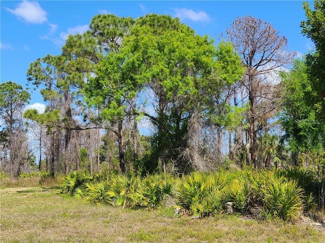 46 Harness Rd, Placida FL, 33946 land for sale