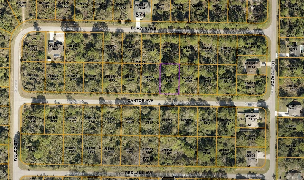 LOT8 Cantor Ave, North Port, FL 34291 - photo 2