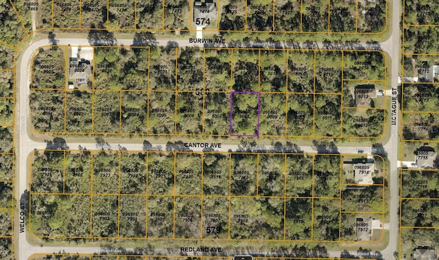 LOT8 Cantor Ave, North Port, FL 34291 - photo 2