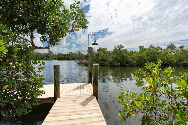 460 Kettle Harbor Dr, Placida, FL 33946 - photo 34