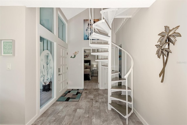 foyer featuring a high ceiling and light hardwood / wood-style flooring