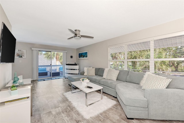 living room featuring ceiling fan and light hardwood / wood-style flooring