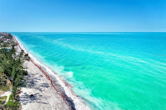 property view of water with a beach view