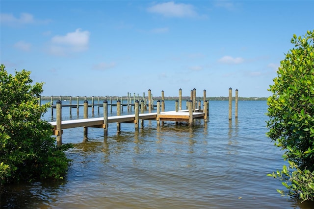 dock area with a water view