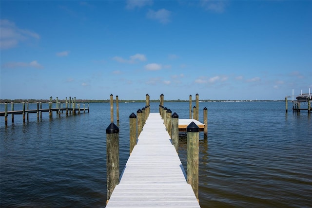 dock area featuring a water view