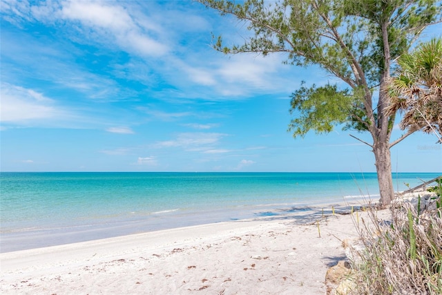 water view featuring a beach view