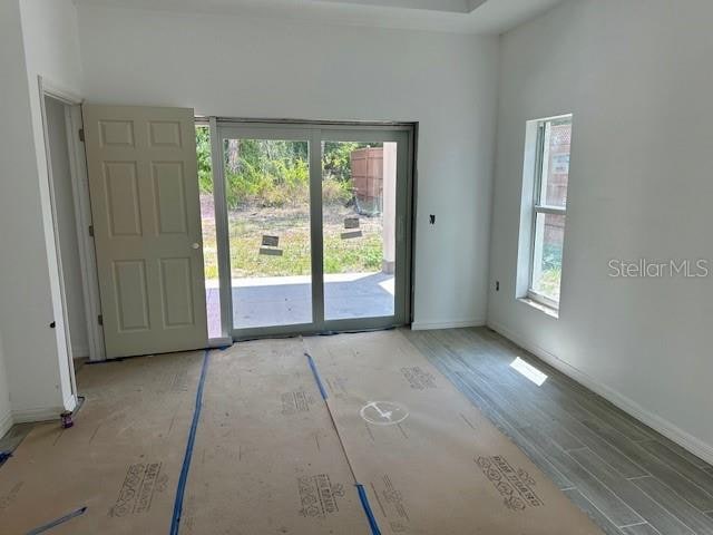 interior space featuring a high ceiling and wood-type flooring