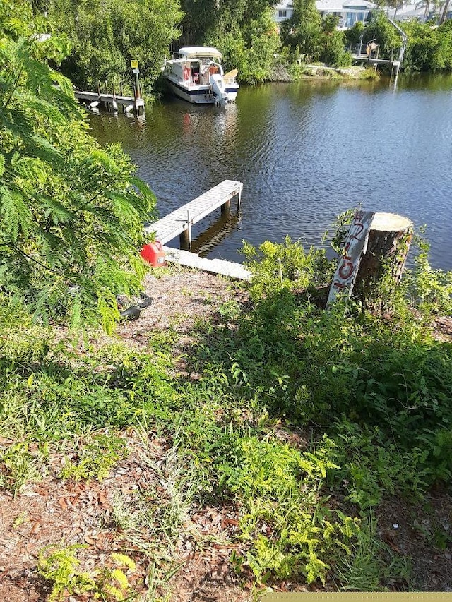 dock area with a water view