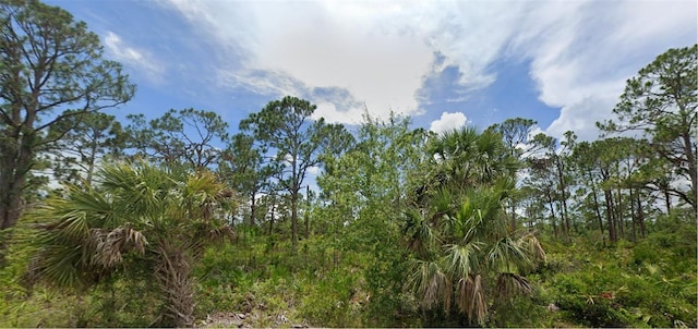 2505 Hoover St, Port Charlotte FL, 33953 land for sale