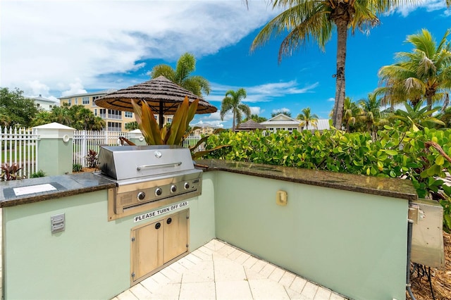 view of patio / terrace featuring area for grilling and a grill