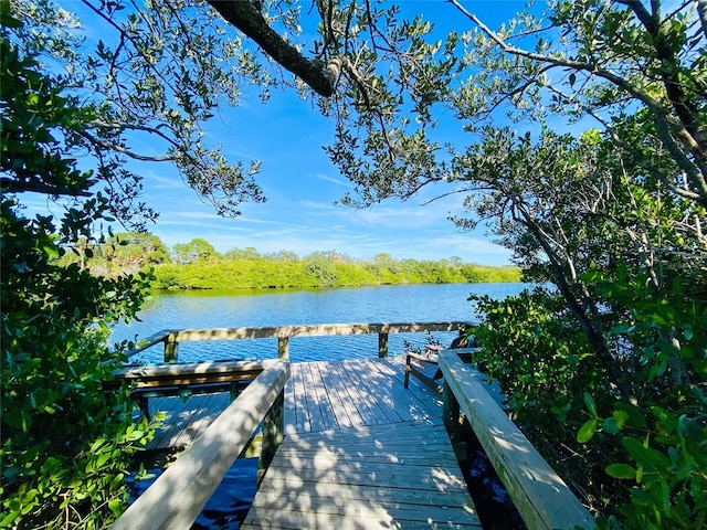 dock area with a water view