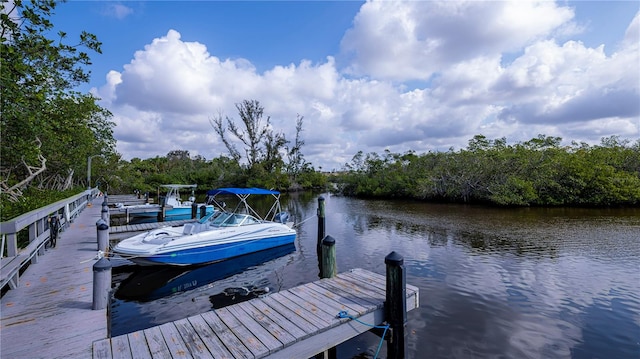 dock area featuring a water view