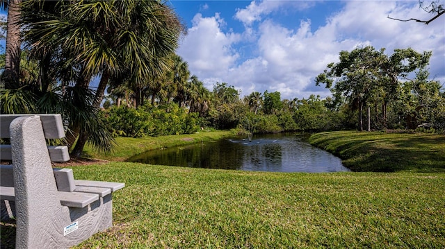 view of water feature