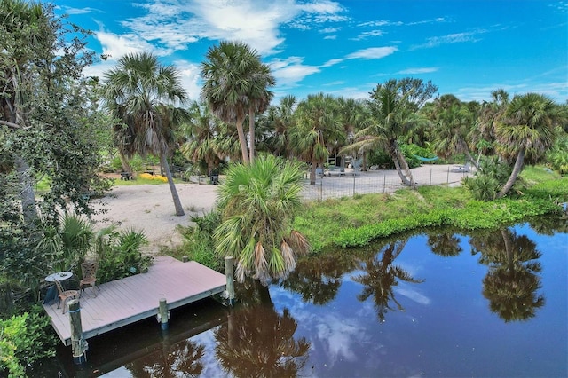 dock area with a water view