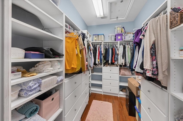 spacious closet featuring light wood-style flooring