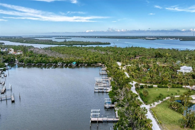 bird's eye view featuring a water view