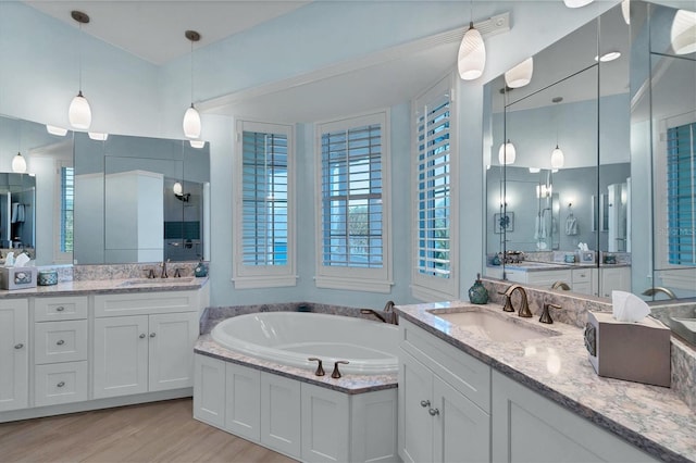 bathroom with wood-type flooring, vanity, and a tub to relax in