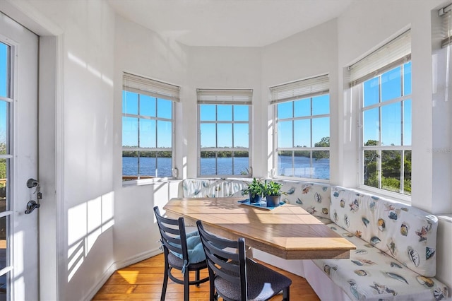 dining room with a water view, light hardwood / wood-style floors, and plenty of natural light