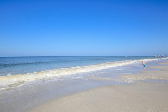 view of water feature featuring a view of the beach