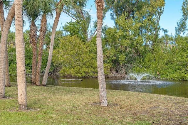 view of yard featuring a water view