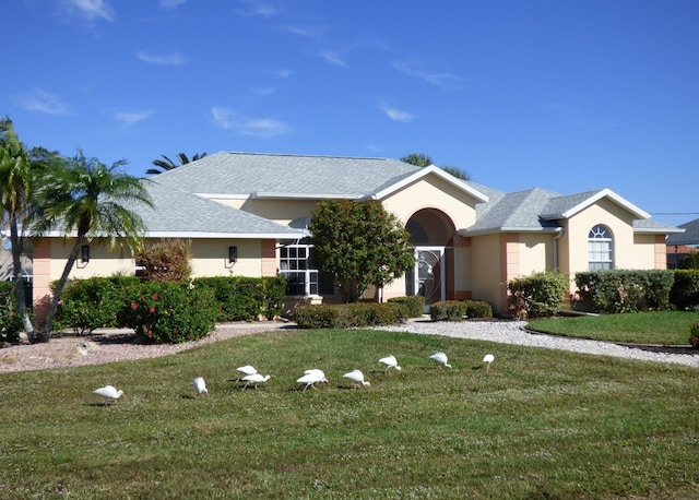 single story home featuring a front lawn