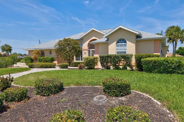 ranch-style house with a front lawn