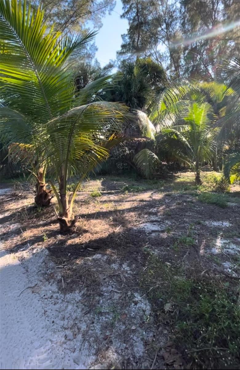 8508 Little Gasparilla Is, Placida, FL 33946 - photo 1