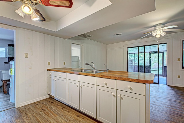 kitchen with white cabinetry, ceiling fan, light wood-type flooring, and sink