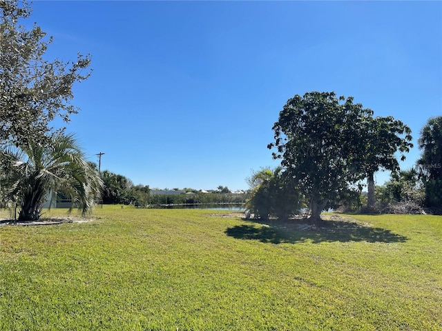8275 SW Sunnybreeze Rd, Arcadia, FL 34269 - view of yard