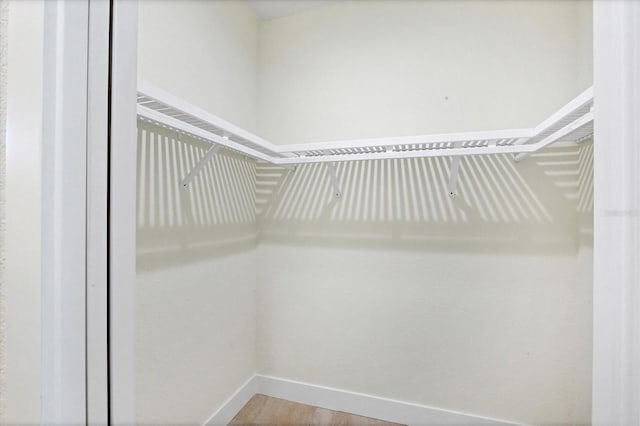 8343 Olsen St, Port Charlotte, FL 33981 - walk in closet featuring hardwood / wood-style flooring