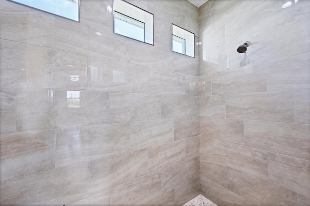 8343 Olsen St, Port Charlotte, FL 33981 - bathroom with a tile shower