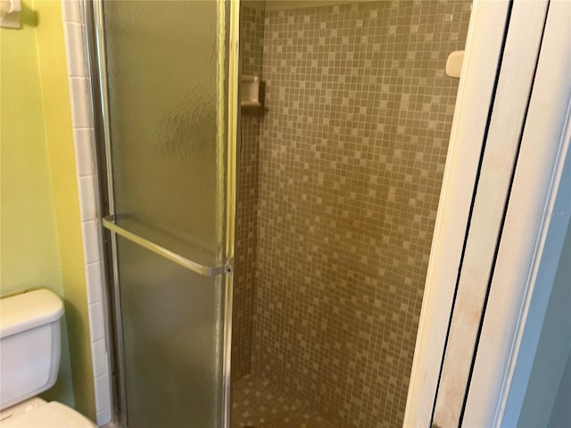 interior space featuring toilet and a shower with shower door