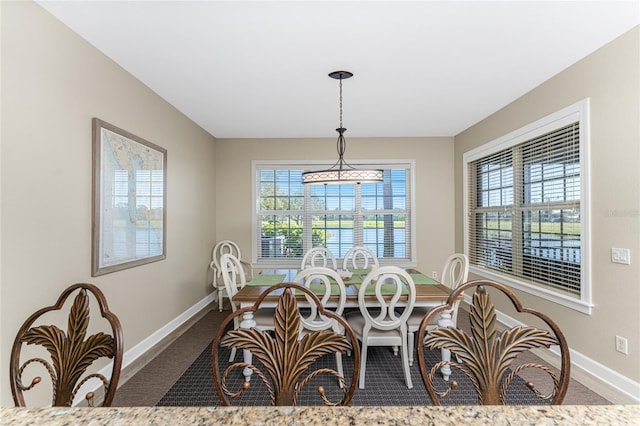 carpeted dining area featuring a wealth of natural light